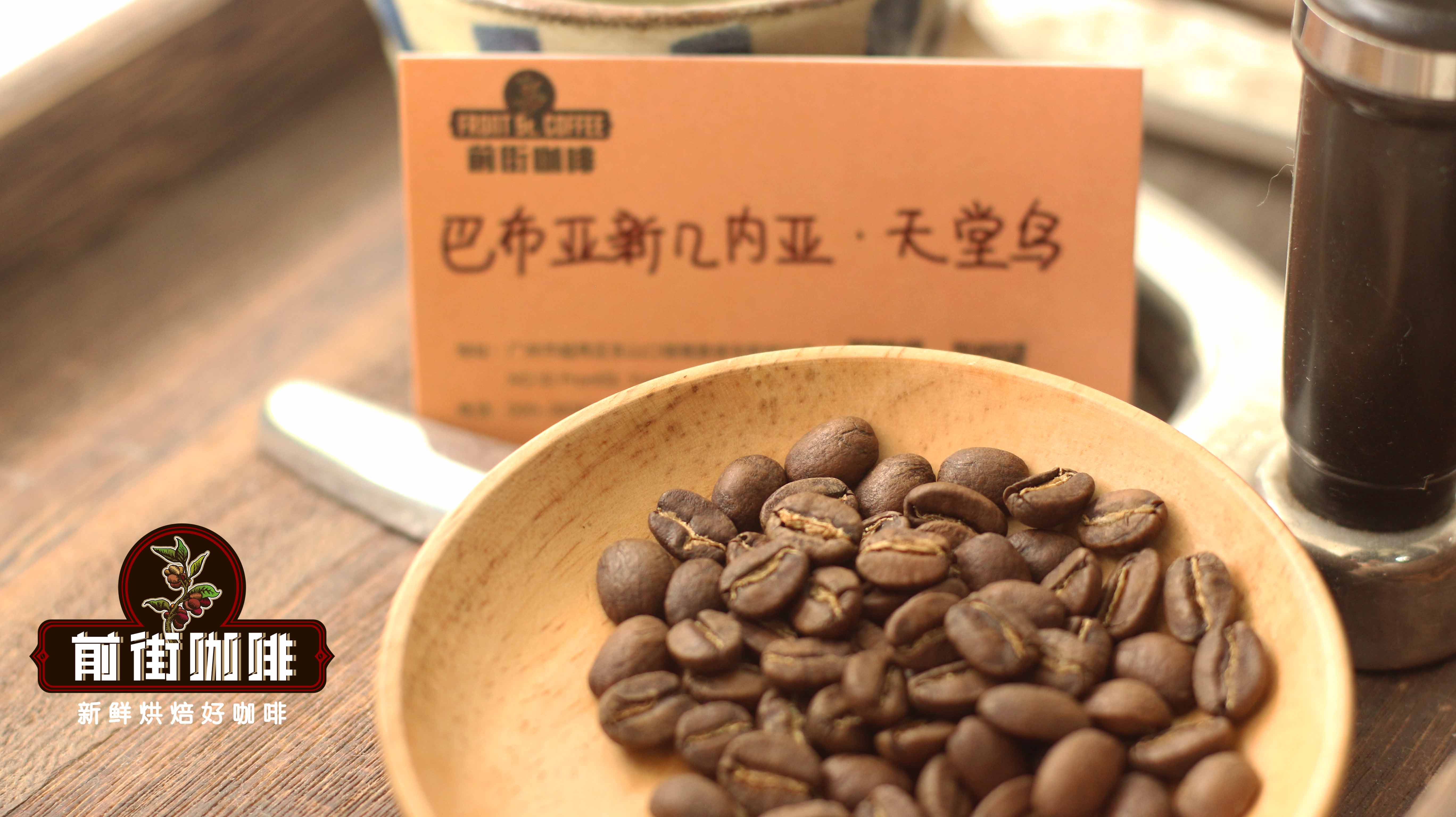 小藍山咖啡豆是什麼 新幾內亞咖啡豆產區風味口感特點描述