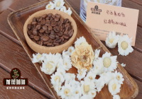 巴西咖啡文化歷史起源故事 巴西咖啡豆品種海拔特點風味口感介紹