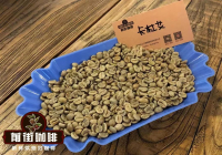卡杜艾咖啡品種介紹｜卡杜艾Catuai咖啡口感風味描述