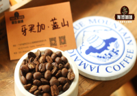 藍山咖啡是什麼？牙買加藍山咖啡有什麼？CIB又是什麼？