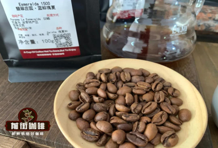 專業咖啡烘焙 | 水洗瑰夏烘焙經驗心得分享 巴拿馬藍標瑰夏烘焙
