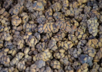 印尼-巴厘島咖啡豆的風味口感特點介紹精品咖啡豆