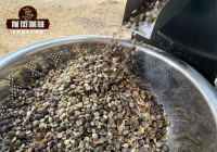 雲南鐵皮卡咖啡是什麼品種 雲南小粒咖啡豆種類風味對比