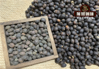雲南咖啡豆最新價格行情 雲南小粒咖啡多少錢一公斤？