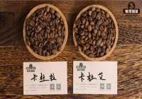 卡杜拉咖啡豆和卡杜艾咖啡豆區別 咖啡店新手如何選擇手衝咖啡豆