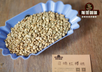 埃塞俄比亞水洗耶加雪菲是羅布斯塔種還是阿拉比卡種?