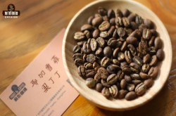 精品必買手沖咖啡豆推薦 什麼類型的咖啡豆適合做手沖？