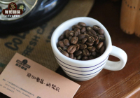 耶加雪菲產區Kochere科洽雷/柯契爾/科契爾咖啡產區故事風味特徵