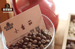 風味偏酸的咖啡豆有哪些推薦 淺烘焙咖啡豆的口感特點介绍