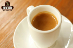 意式濃縮咖啡有幾種喝法？Espresso適合用哪種咖啡豆味道更香濃？