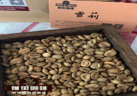 洪都拉斯咖啡有什麽樣的獨特香氣？酒香咖啡豆應該如何手沖好喝？