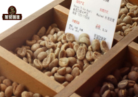 肯尼亞咖啡等級劃分 SL28 SL34咖啡品種經典風味是什麼